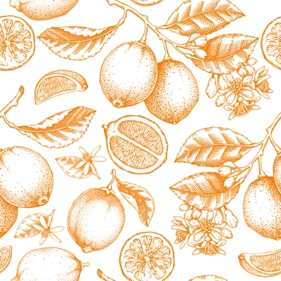 Lime fruit seamless pattern. Citrus fruit sketches. Botanical background. Exotic plants texture. Hand drawn vector illustration. NOT AI generated